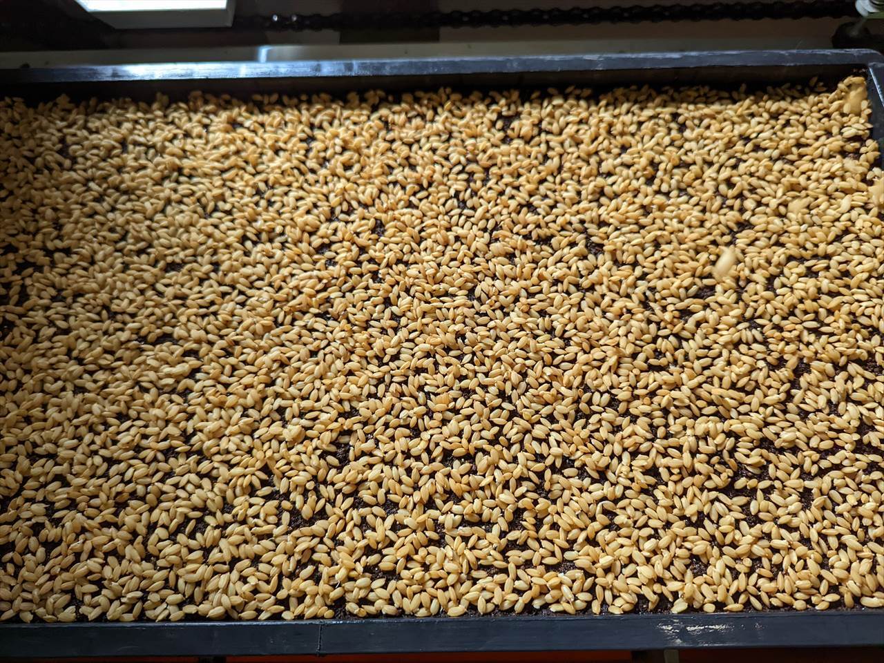 PXL_20220330_024040214_R