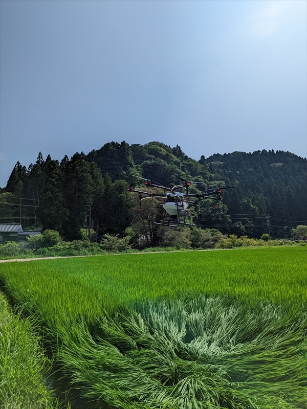 PXL_20220725_053740787_R