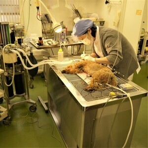 5-6修正_コピー_コピー