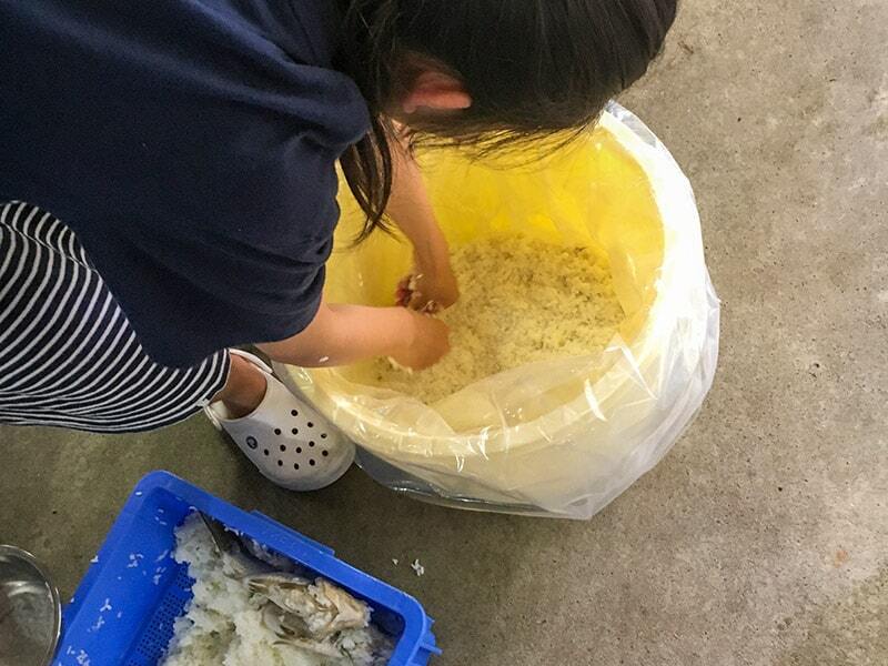 ふなずし手作り