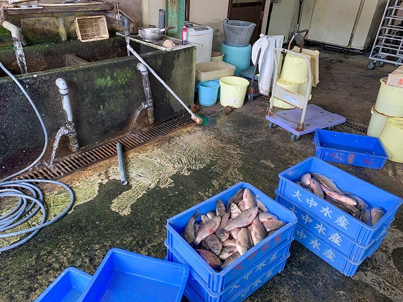 湖魚直接仕入れ