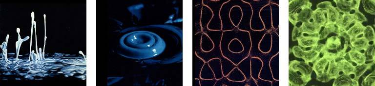 サイマティクス②