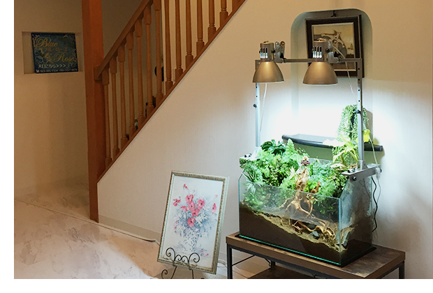 ご契約をご検討中の方へ