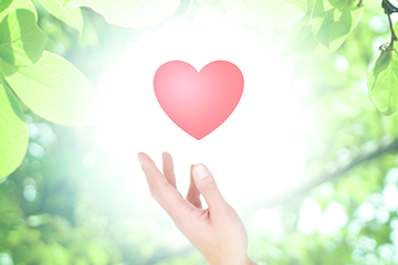 生命・医療保険