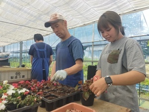先輩_藤田すみれ②_コピー