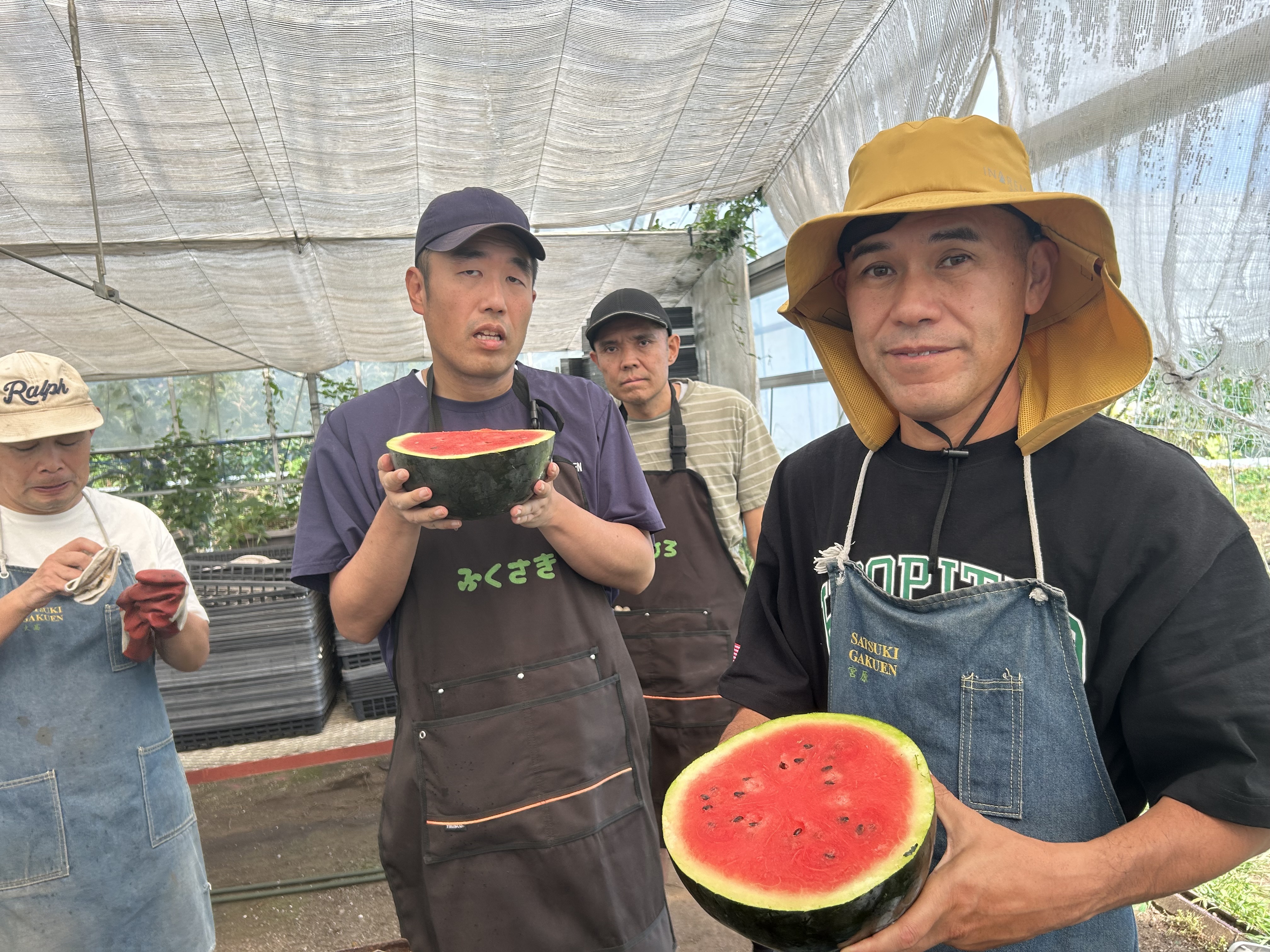 真っ赤なスイカが出来ました