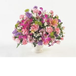 05050800_5cce19a41b41c.thumb_307_auto_ka