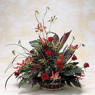 0000030617.thumb_307_auto_ka