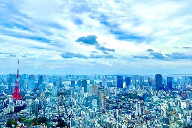 企業型DCの導入サービス