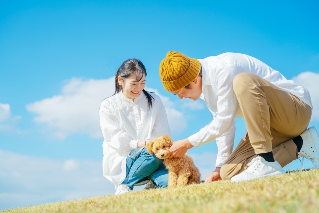 動物を飼っている区民の皆様へ