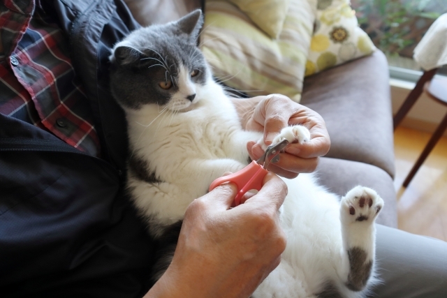 普段からの予防が大切!