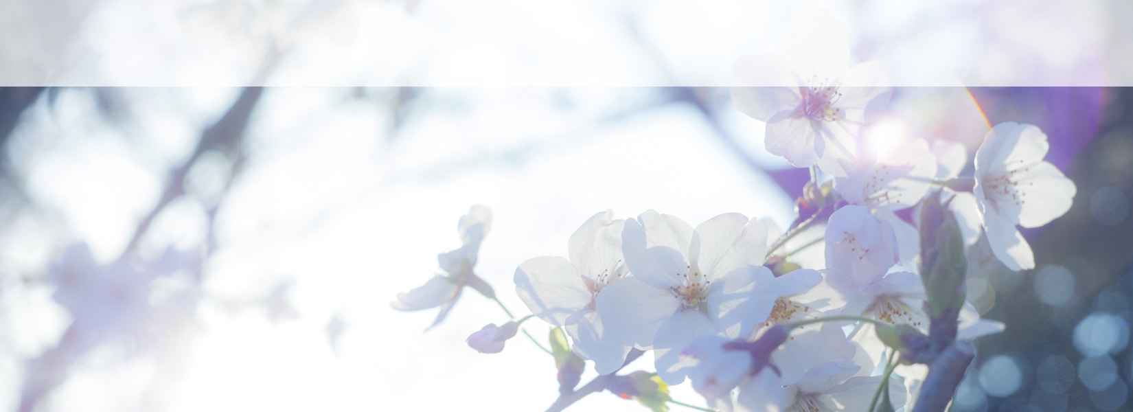 お問い合わせイメージ