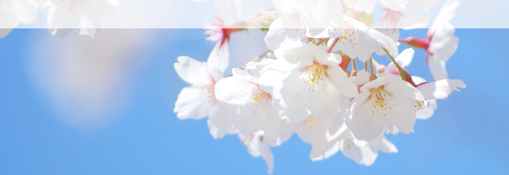 お問い合わせ イメージ