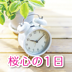 桜心の1日