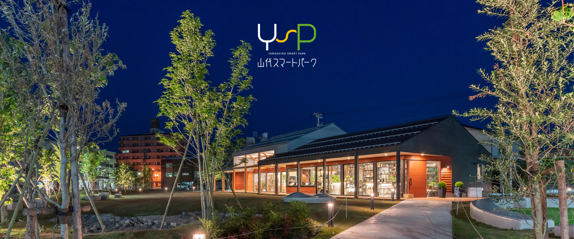 ysptop2