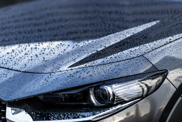 事業内容:ボディコーティング