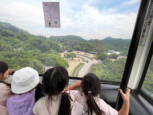 遠足(姫路セントラルパーク)