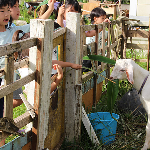 ボタン画像:園での生活