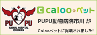 bn_caloopet_120588