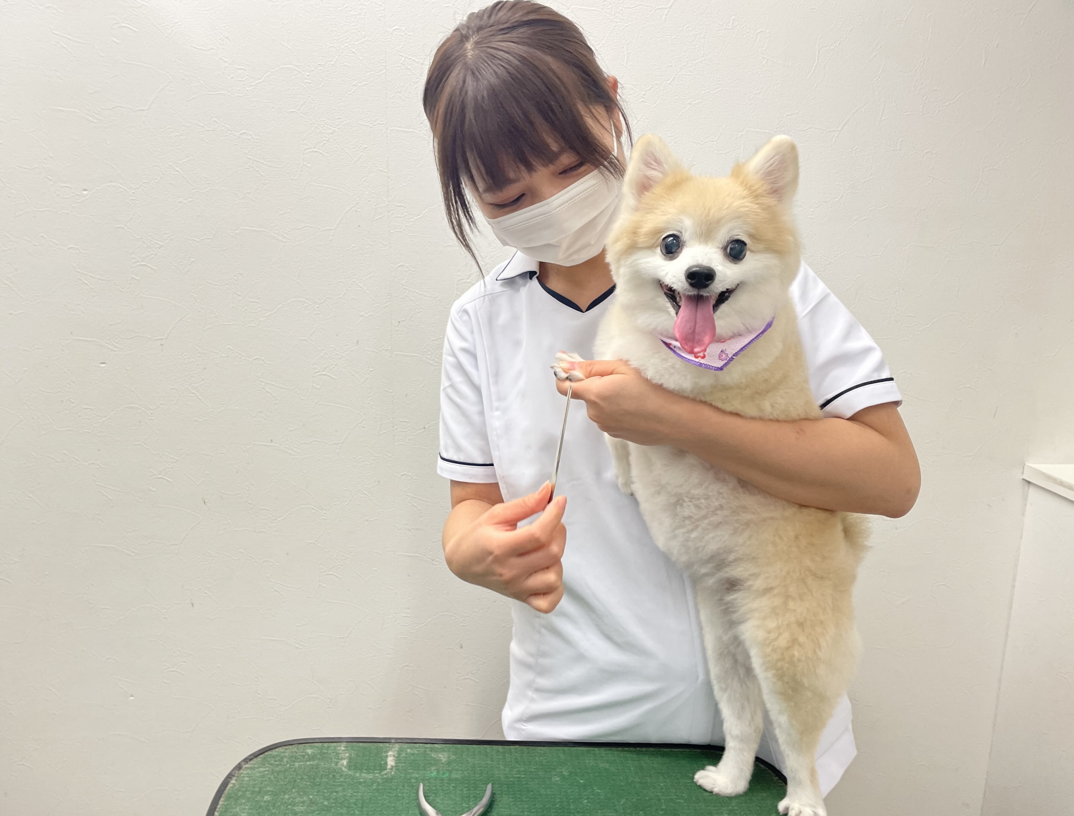 トリミング写真変更