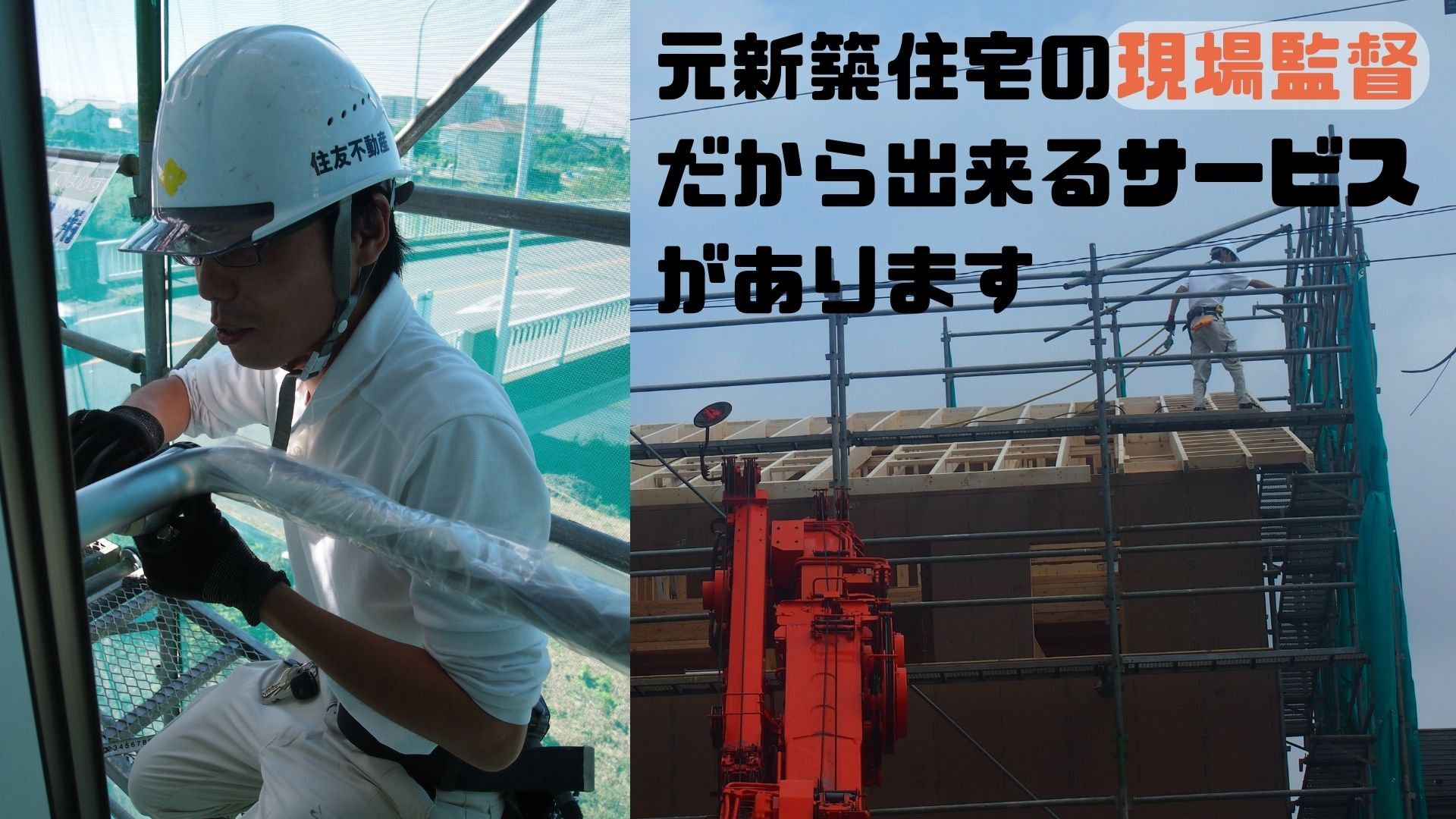 【プラスワン表紙】