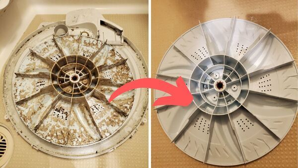 洗濯機クリーニング