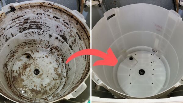 洗濯機クリーニング