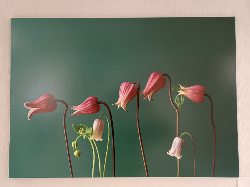 心安らぐアート|院内紹介-1