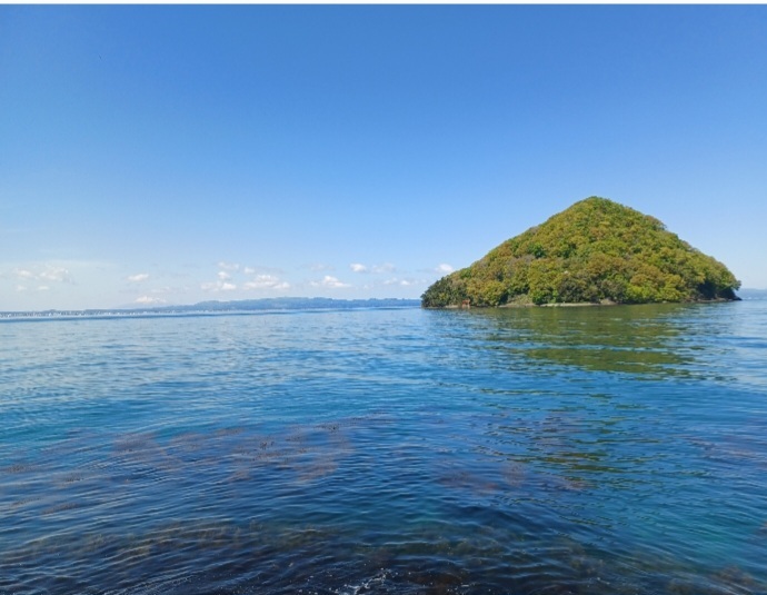 Screenshot_20240518_004612_Gallery