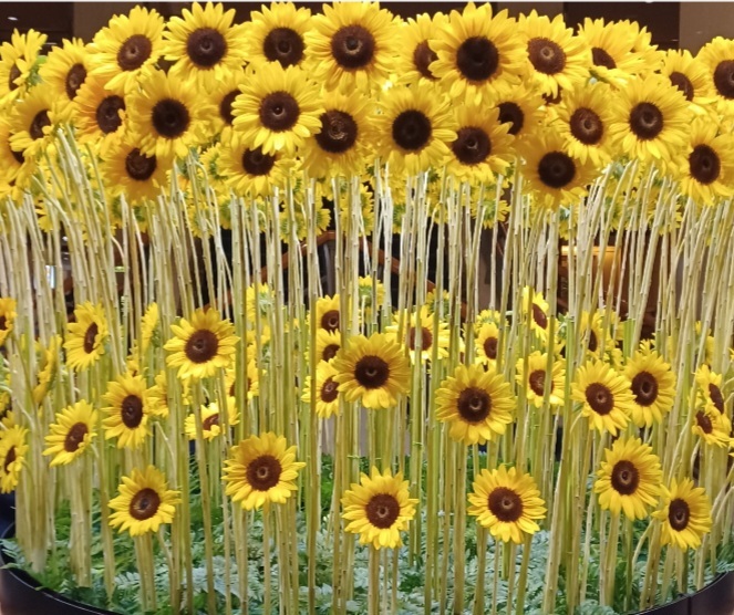 Screenshot_20240721_045747_Gallery