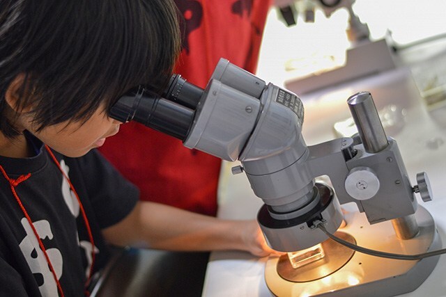 サイエンス教室