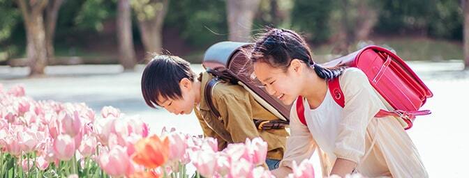 説明会・入会手続き