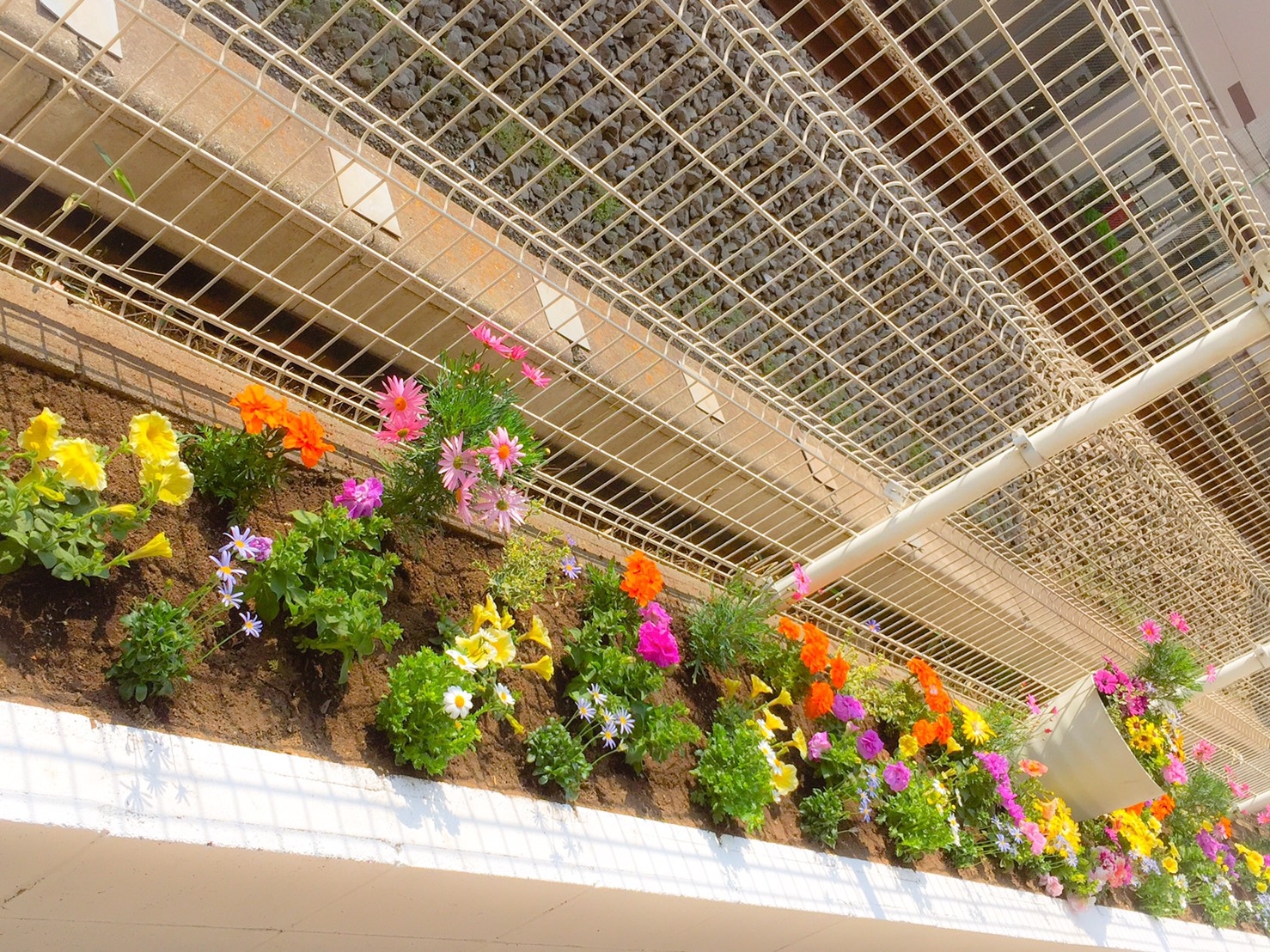 久米川スタジオテラス