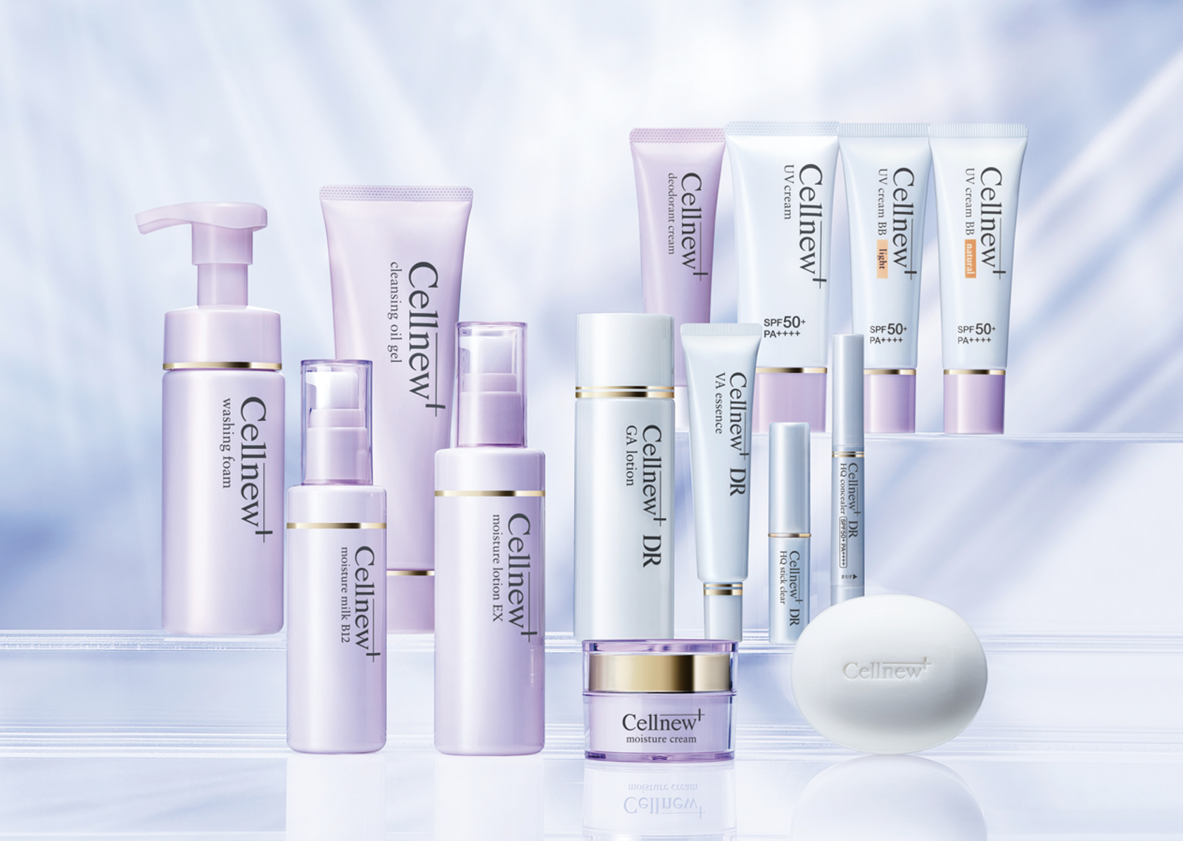 セルニュープラス集合.1