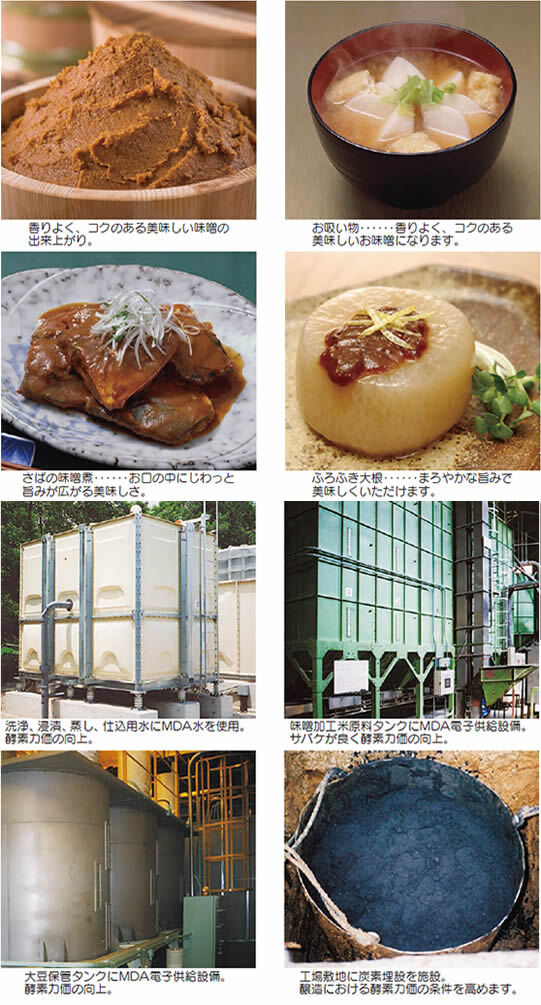 miso2