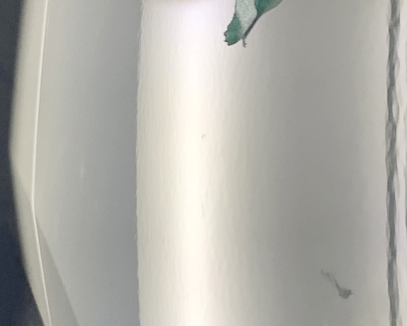 デントリペア右リアドア|after