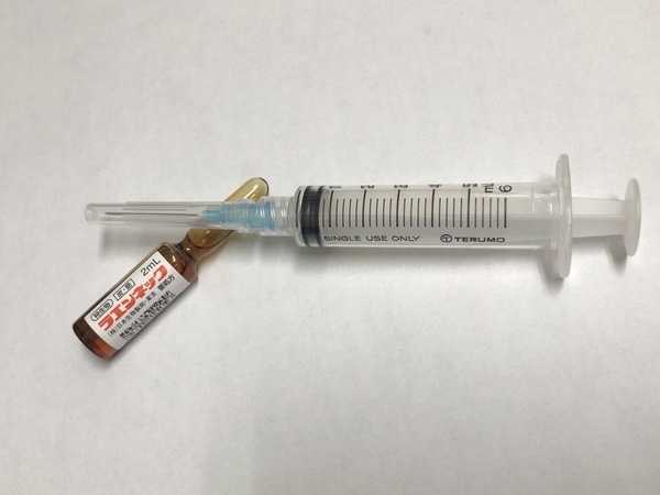 プラセンタ写真