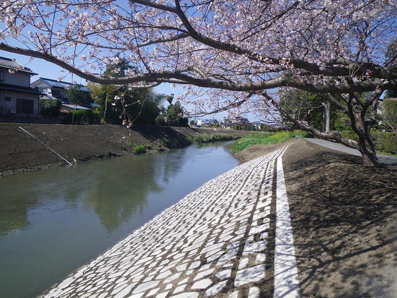 総簡加)河川改修工事(護岸工安養寺工区)②