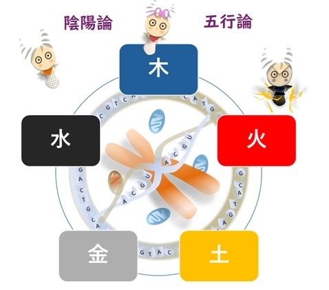 陰陽論