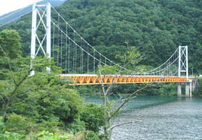 九頭竜湖 夢の架け橋