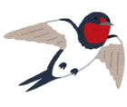 bird_tsubame_コピー