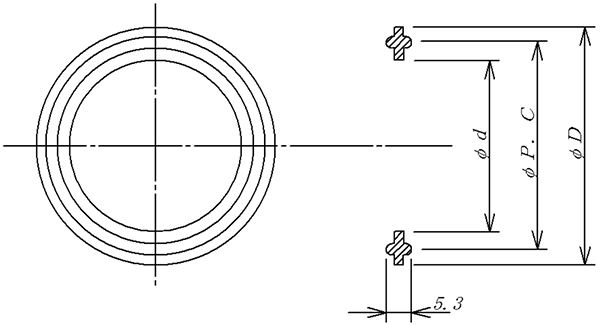 USヘルールパッキンB型