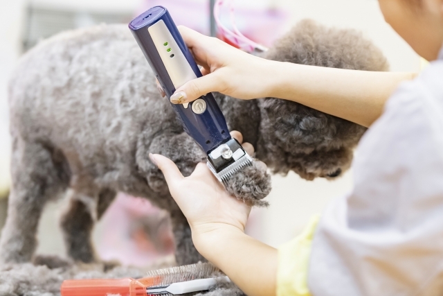 トリミングについて