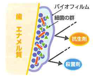 バイオフィルム