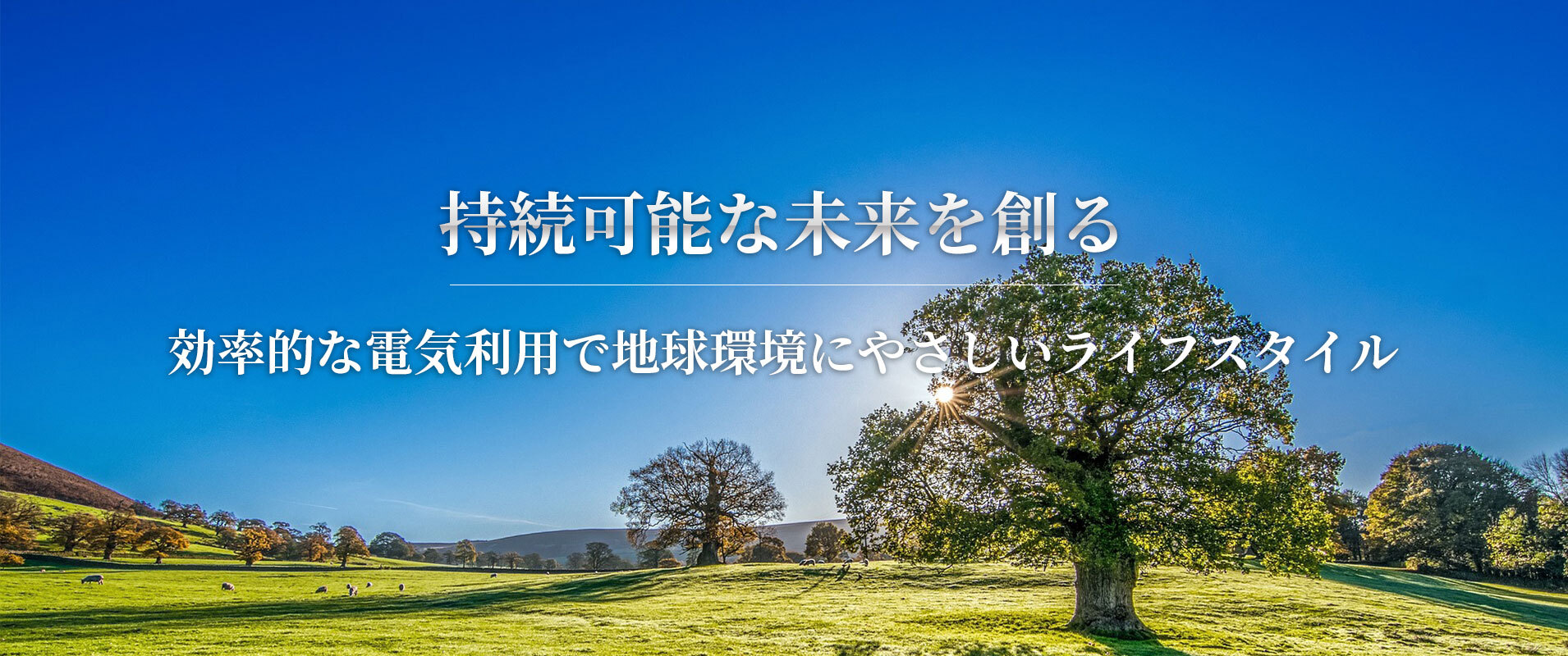 持続可能な未来を創る