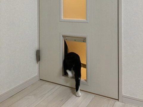 ペットドア