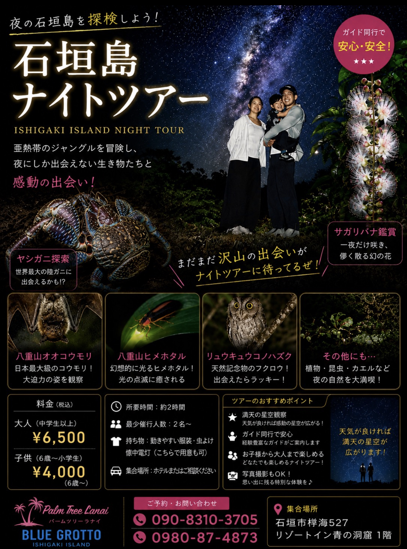 ナイトツアー写真