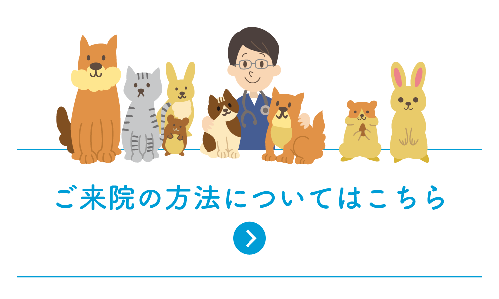 各種ご予約方法についてはこちら