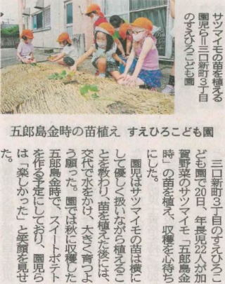 2022.5.21五郎島金時の苗植え