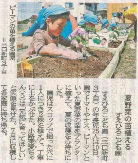 2023.5.11夏野菜の苗植え